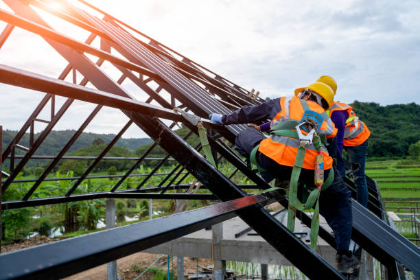 Best Metal Roofing Contractor  in Quitman, TX
