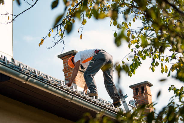 Quick and Trustworthy Emergency Roof Repair Services in Quitman, TX