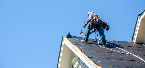 Roof Gutter Cleaning in Quitman, TX